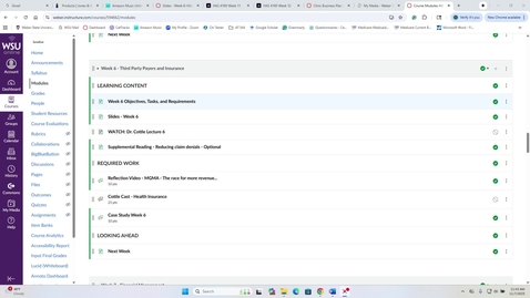 Thumbnail for HAS 4160 - Dr. Cottle Lecture 6