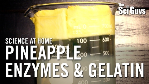 Thumbnail for Lab 3: Make Up Pineapple Enzymes &amp; Gelatin Video with Questions