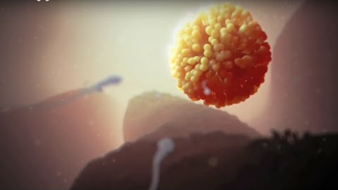 Thumbnail for HTHS 1101 F12-01 Fertilization Video with Questions