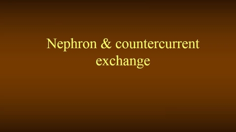 Thumbnail for entry Nephron movie
