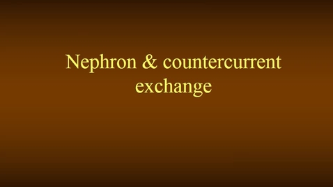 Thumbnail for Nephron movie