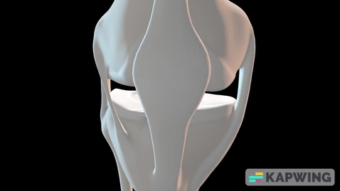 Thumbnail for Patellar_Tendon video.mp4 - Quiz
