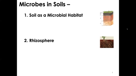 Thumbnail for MICR3154_11-23_Soil_Twing