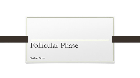 Thumbnail for NRSG6250ScottNUnit1DiscussionPresentationFollicularPhase5.9.25