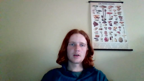 Thumbnail for Video Recording - Wed Jan 08 2025 14:44:30 GMT-0700 (Mountain Standard Time)