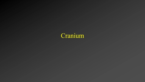 Thumbnail for entry Skeleton (cranium)