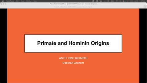 Thumbnail for ANTH1020 Primate and Hominin Origins