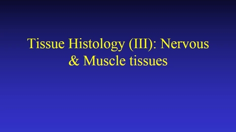 Thumbnail for entry Tissue Histology (III) nervous &amp; muscle tissues
