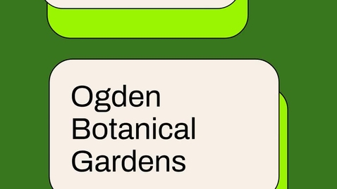 Thumbnail for What's in my backyard?