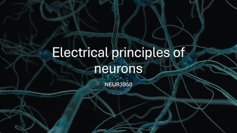 Thumbnail for NEUR3950_electrophys