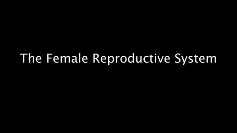 Thumbnail for entry The Female Reproductive System with Model