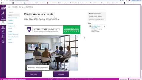 Thumbnail for Kaltura Capture recording - January 2nd 2024, 12:18:15 pm