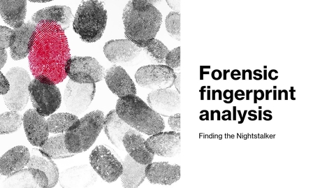 Thumbnail for nightstalker