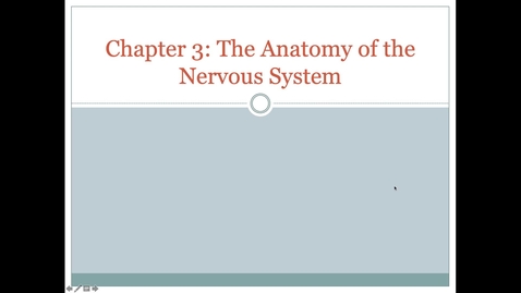 Thumbnail for PSY 2710 : Ch. 3 - Lesson 3