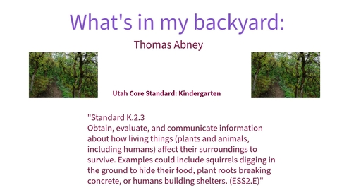 Thumbnail for What's in my backyard