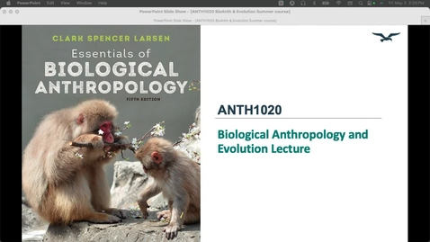 Thumbnail for ANTH1020 BioAnth &amp; Evolution Lecture
