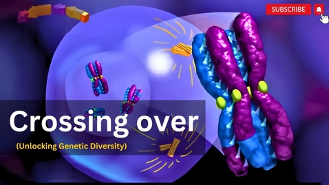 Thumbnail for Lab 6: Make Up Crossing Over Video with Questions