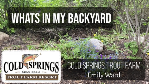Thumbnail for What's in my backward