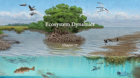 Thumbnail for Chapter 15_Ecosystem Dynamics Video Lecture