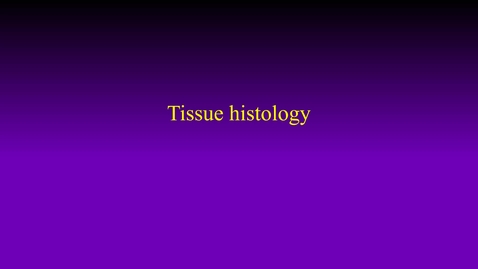 Thumbnail for entry Histology hybrid (Fall 2022)