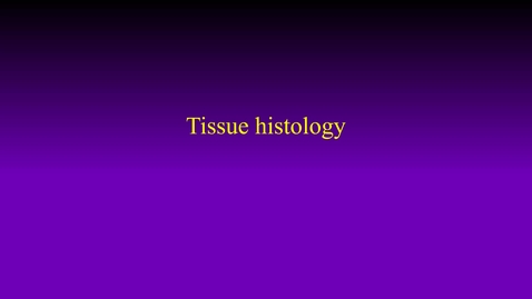 Thumbnail for Histology hybrid (Fall 2022)