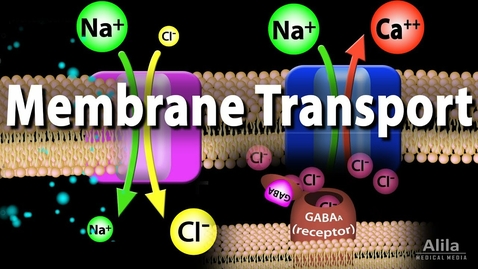 Thumbnail for entry HTHS 1111 F13-01: Membrane Transport Video with Questions