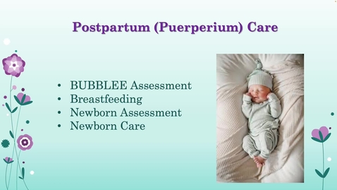 Thumbnail for Unit 1 Recorded Lecture Part 2 Postpartum