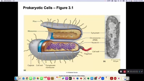 Thumbnail for entry Cell Structures Part II MICR 1113 