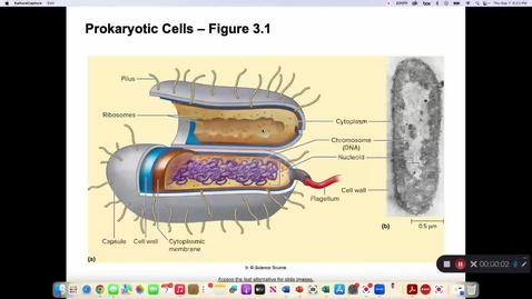 Thumbnail for Cell Structures Part II MICR 1113 