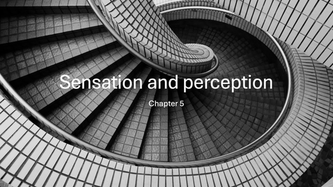 Thumbnail for SP26_PY1010_sensationperception