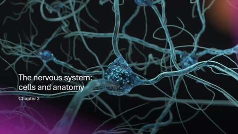 Thumbnail for PSY2710online_neuronbrain1a