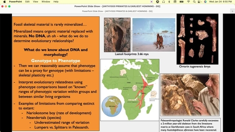 Thumbnail for Primates and the Earliest Hominins