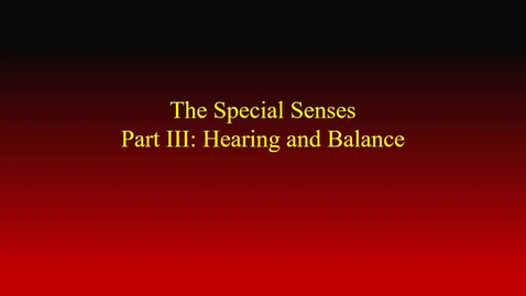 Thumbnail for entry Special senses III (Hearing &amp; Balance) movie