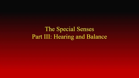 Thumbnail for Special senses III (Hearing &amp; Balance) movie