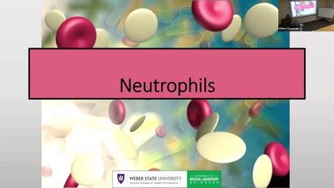 Thumbnail for 1 Neutrophil-Eosinophil-Basophil-2025