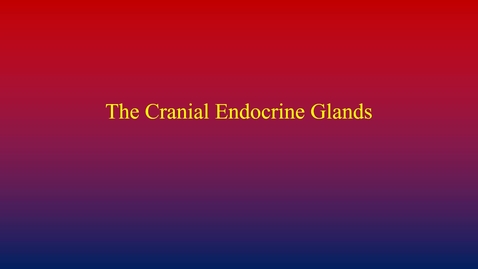 Thumbnail for entry Endocrine System (cranial endocrine glands)