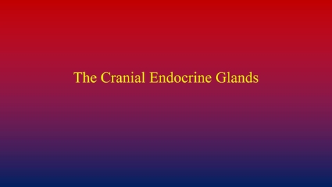 Thumbnail for Endocrine System (cranial endocrine glands)