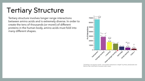 Thumbnail for January 17 2025 Lecture--Tertiary and Quaternary Structure