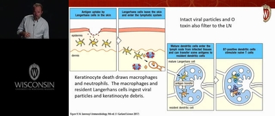 Ranheim - Adaptive Immune System 2 - UW-Madison Kaltura MediaSpace