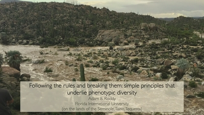 Biology Colloquium: Adam Roddy 11/03/22 - UW-Madison Kaltura MediaSpace