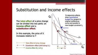 Module_4_Income_and_Substitution_Effects_of_Price_Change - University ...