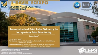 Transabdominal Fetal Pulse Oximetry for Intrapartum Fetal Monitoring ...