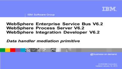 Data handler primitive - IBM MediaCenter