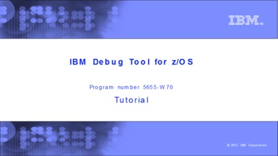Loading program debug files - IBM MediaCenter