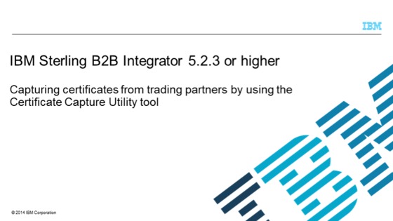 コンピュータ・IT IBM Signature Selling Method (SSM) SELLING METHODOLOGY - SAMPLES