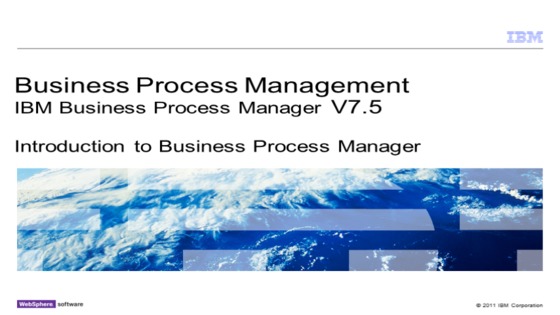 ibm business process management