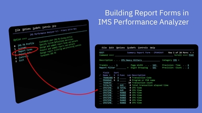 Building Report Forms in IMS Performance Analyzer - IBM Mediacenter