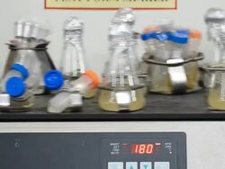 Test tubes in a shaker Stock Footage