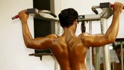 Young Men Performing Back Exercise in the Gym Stock Footage