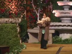 6th Annual Lullabies and Luxuries Luncheon and Fashion Show to Benefit Caring For Children and Families With AIDS Stock Footage